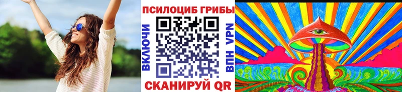 Псилоцибиновые грибы прущие грибы  купить наркоту  Элиста 